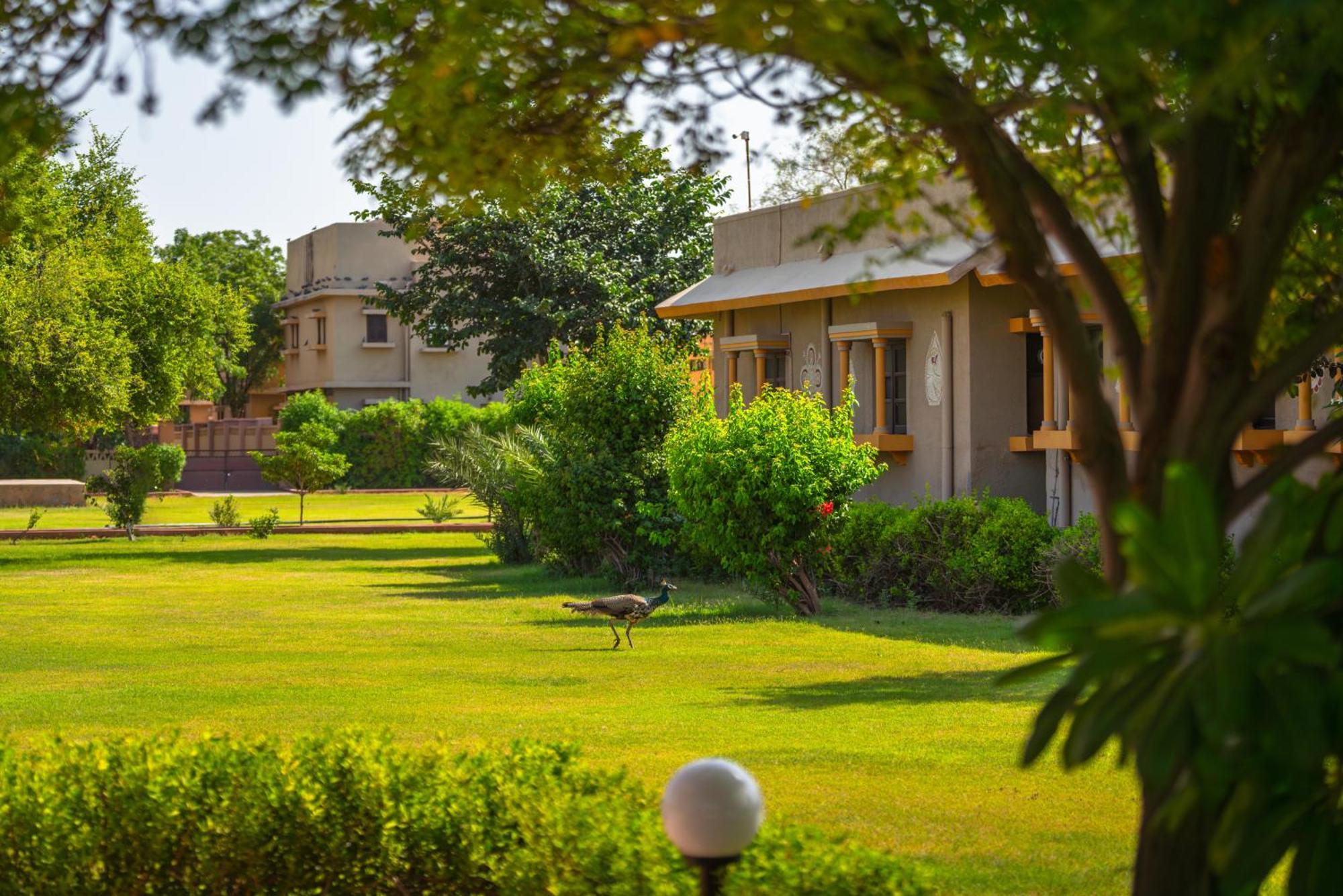 Thar Oasis Resort And Camp Dechu Exterior foto